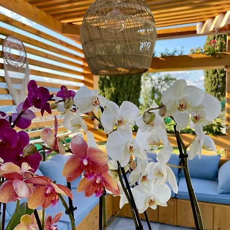 Escondida Bed & Breakfast Nice